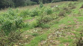 우람님의 기타작물 · 영농일지 작성글 사진