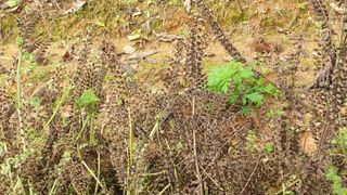 우람님의 기타작물 · 영농일지 작성글 사진