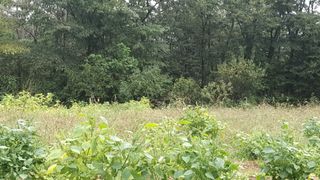 우람님의 기타작물 · 영농일지 작성글 사진