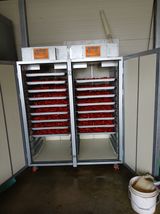 팜모닝 기타작물·영농일지 게시글 이미지