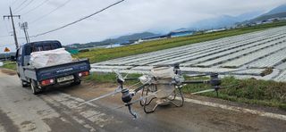 구춘봉님의 마늘 · 영농일지 작성글 사진