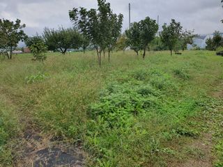 경포일출님의 기타작물 · 영농일지 작성글 사진