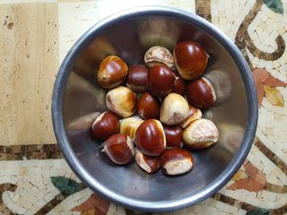 경포일출님의 기타작물 · 영농일지 작성글 사진