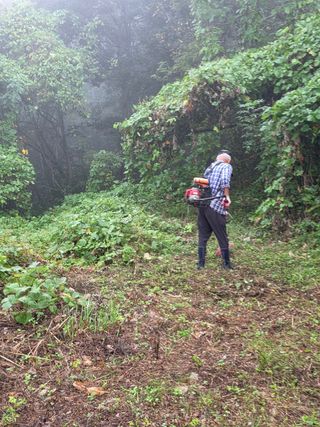 노력하는농민천영구님의 기타작물 · 영농일지 작성글 사진