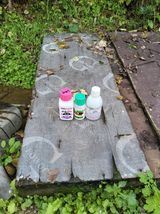 팜모닝 배추·영농일지 게시글 이미지