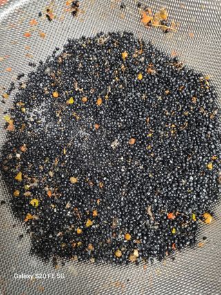 조상연님의 기타작물 · 영농일지 작성글 사진