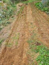 팜모닝 파·영농일지 게시글 이미지