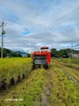 팜모닝 벼·영농일지 게시글 이미지