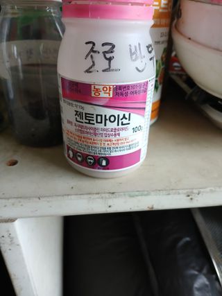 백영호님의 고추 · 영농일지 작성글 사진