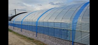 백암제이하우스님의 딸기 · 영농일지 작성글 사진