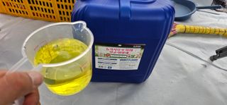 백암제이하우스님의 딸기 · 영농일지 작성글 사진