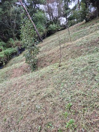 호랑이별님의 기타작물 · 영농일지 작성글 사진