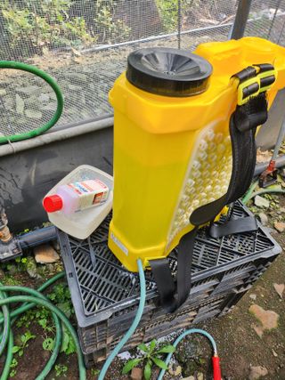 제주온님의 귤 · 영농일지 작성글 사진