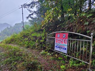 돈디아고(김덕수)님의 기타작물 · 영농일지 작성글 사진