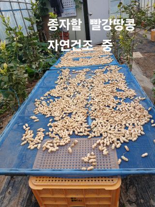 안승호님의 기타작물 · 영농일지 작성글 사진