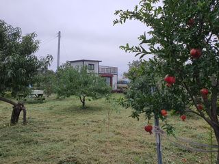 경포일출님의 기타작물 · 영농일지 작성글 사진