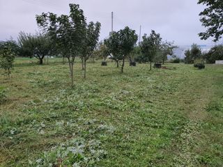 경포일출님의 기타작물 · 영농일지 작성글 사진