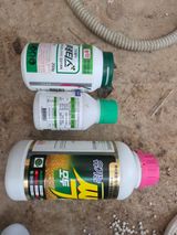 팜모닝 딸기·영농일지 게시글 이미지