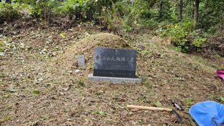 원감사님의 기타작물 · 영농일지 작성글 사진