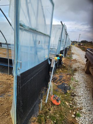 김저팔계님의 파 · 영농일지 작성글 사진