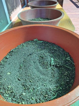 구강회님의 기타작물 · 영농일지 작성글 사진