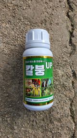 팜모닝 배추·영농일지 게시글 이미지