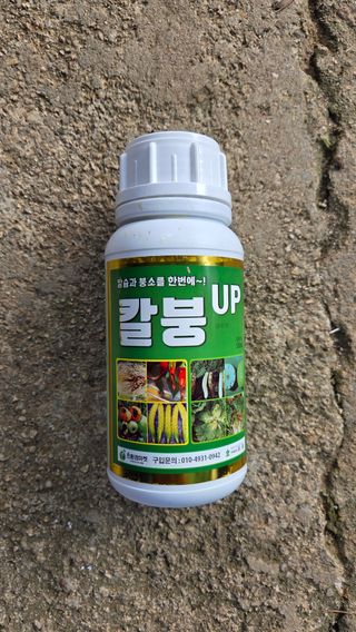  조약돌님의 배추 · 영농일지 작성글 사진