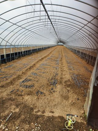 김저팔계님의 파 · 영농일지 작성글 사진