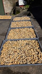 팜모닝 기타작물·영농일지 게시글 이미지