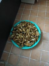 팜모닝 기타작물·영농일지 게시글 이미지