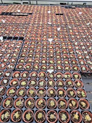 신상섭님의 기타작물 · 영농일지 작성글 사진