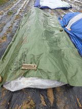 팜모닝 들깨·영농일지 게시글 이미지