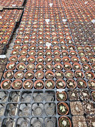 신상섭님의 기타작물 · 영농일지 작성글 사진