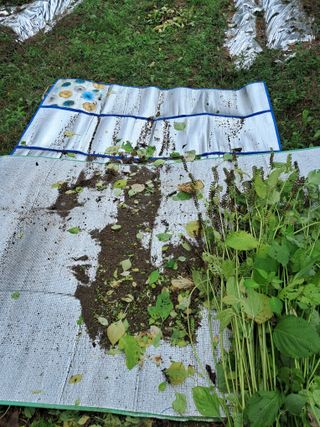 구강회님의 기타작물 · 영농일지 작성글 사진