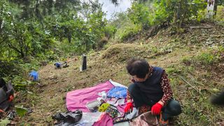 원감사님의 기타작물 · 영농일지 작성글 사진