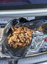 팜모닝 기타작물·영농일지 게시글 이미지