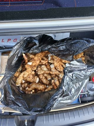 백영호님의 기타작물 · 영농일지 작성글 사진