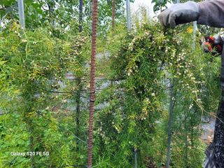 조상연님의 기타작물 · 영농일지 작성글 사진