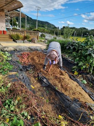 장례지도사1급님의 기타작물 · 영농일지 작성글 사진