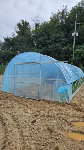 이순정님의 기타작물 · 영농일지 작성글 사진