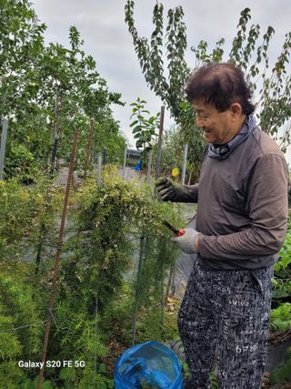 조상연님의 기타작물 · 영농일지 작성글 사진