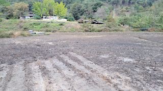 김홍중님의 기타작물 · 영농일지 작성글 사진