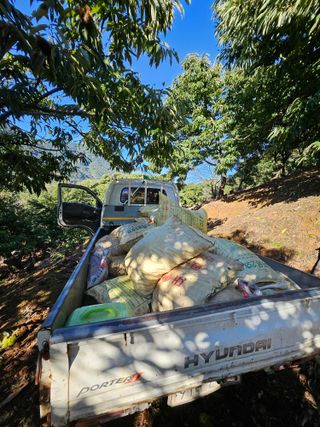 홍가네수정농장님의 기타작물 · 영농일지 작성글 사진