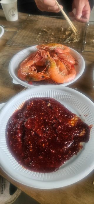 구춘봉님의 마늘 · 영농일지 작성글 사진