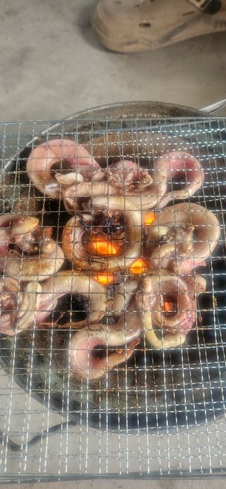 구춘봉님의 마늘 · 영농일지 작성글 사진