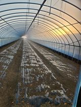 팜모닝 배추·영농일지 게시글 이미지