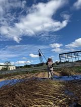 팜모닝 기타작물·영농일지 게시글 이미지