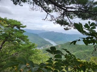 꿀복이농장님의 배추 · 영농일지 작성글 사진