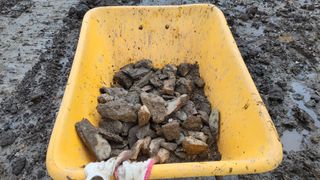 김홍중님의 기타작물 · 영농일지 작성글 사진