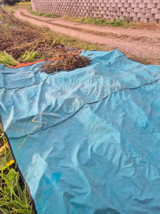 참깨10143님의 기타작물 · 영농일지 작성글 사진